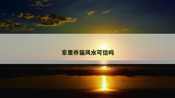 家里养猫风水可信吗