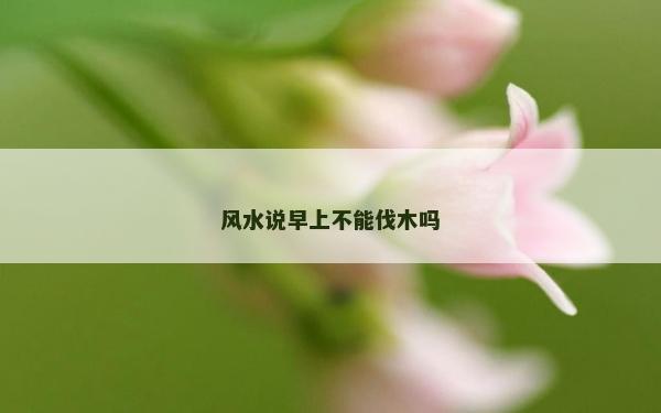 风水说早上不能伐木吗