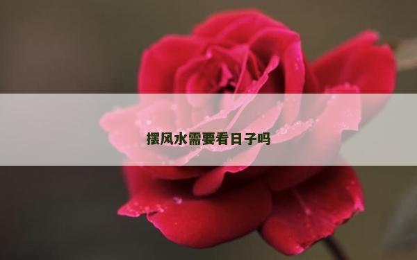 摆风水需要看日子吗