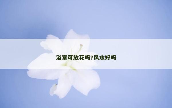 浴室可放花吗?风水好吗