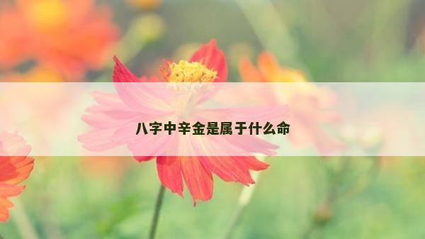 八字中辛金是属于什么命
