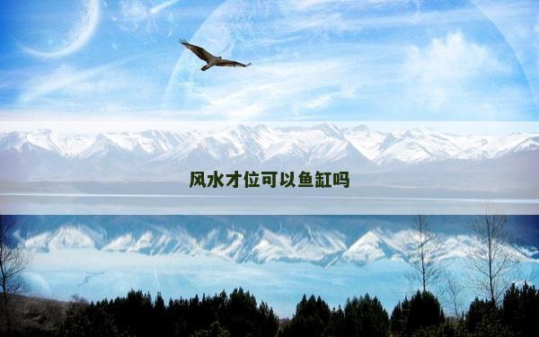 风水才位可以鱼缸吗