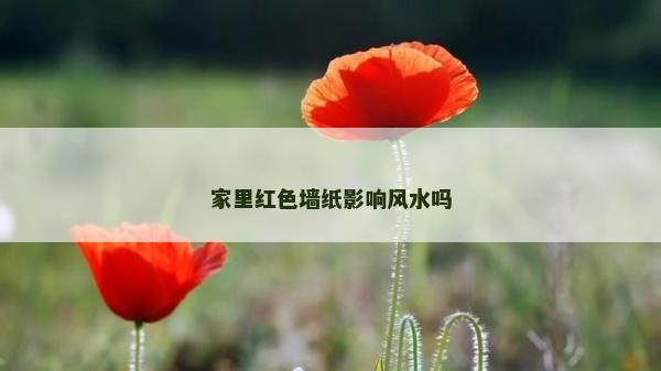 家里红色墙纸影响风水吗