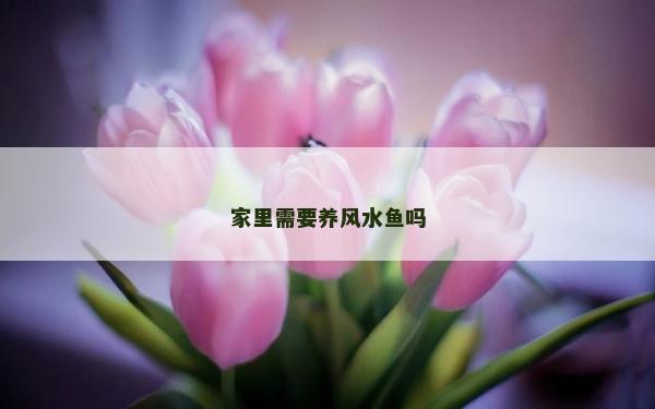 家里需要养风水鱼吗