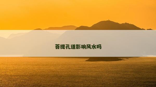 菩提孔道影响风水吗