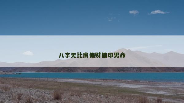 八字无比肩偏财偏印男命