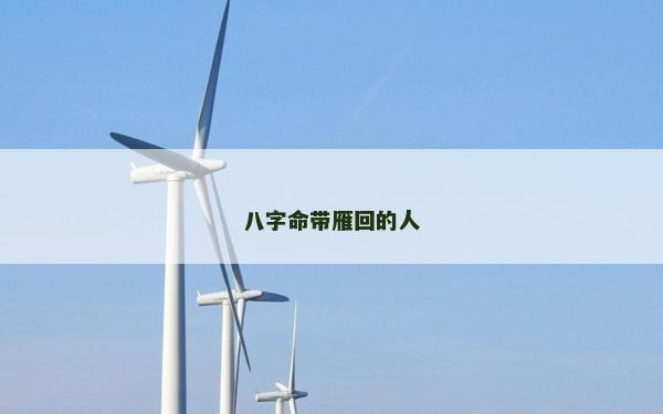 八字命带雁回的人