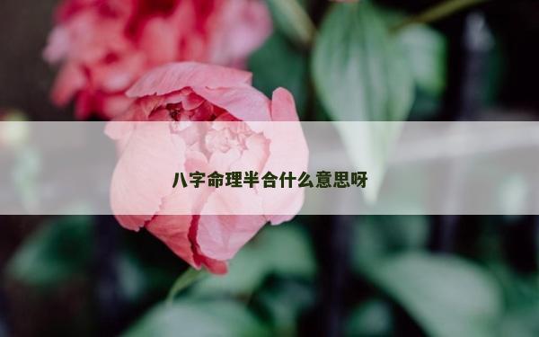八字命理半合什么意思呀