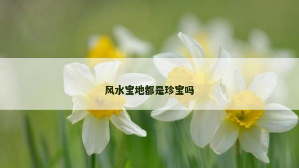 风水宝地都是珍宝吗
