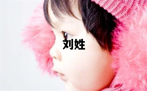刘姓有创意的女孩名字