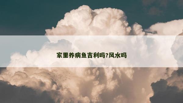 家里养病鱼吉利吗?风水吗