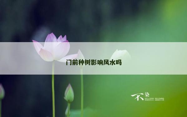 门前种树影响风水吗