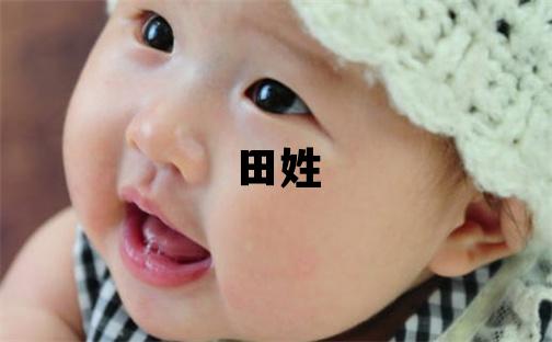 田姓有新意的男宝宝名字