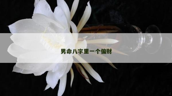 男命八字里一个偏财