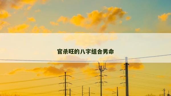 官杀旺的八字组合男命
