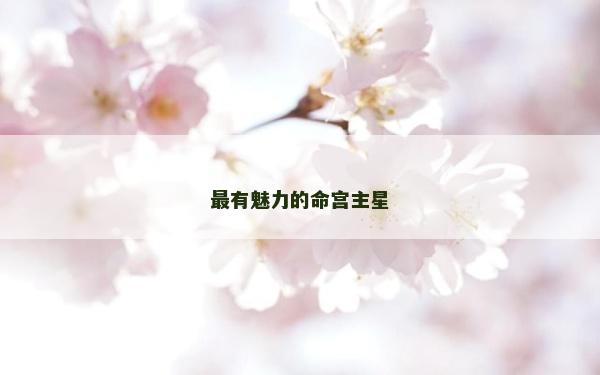 最有魅力的命宫主星