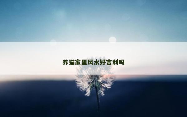养猫家里风水好吉利吗