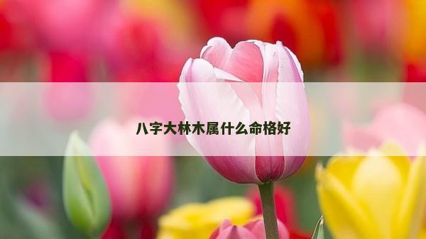 八字大林木属什么命格好