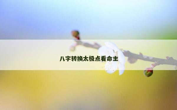 八字转换太极点看命主