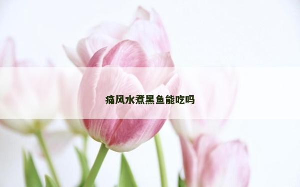 痛风水煮黑鱼能吃吗