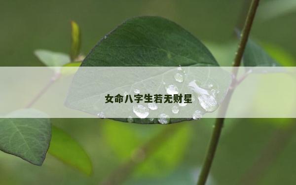 女命八字生若无财星