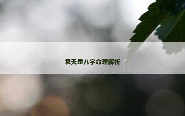袁天罡八字命理解析
