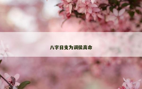 八字日支为调侯高命