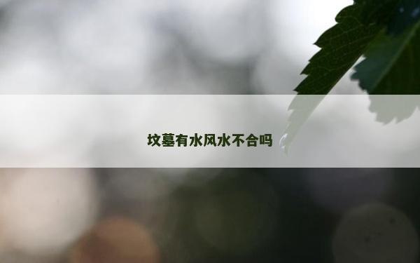 坟墓有水风水不合吗