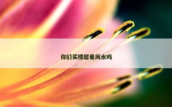 你们买楼层看风水吗