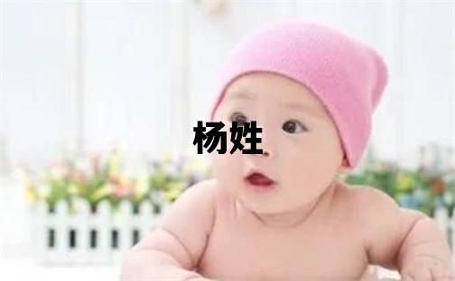 杨姓取名有气质的女宝宝名字