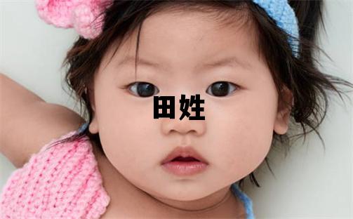 田姓取名有创意的男宝宝名字