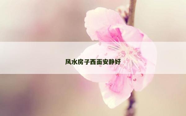 风水房子西面安静好
