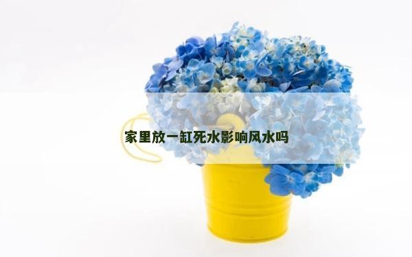 家里放一缸死水影响风水吗