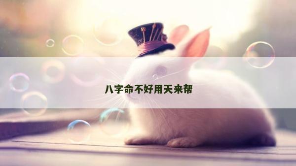八字命不好用天来帮