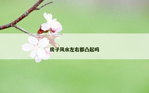 房子风水左右都凸起吗