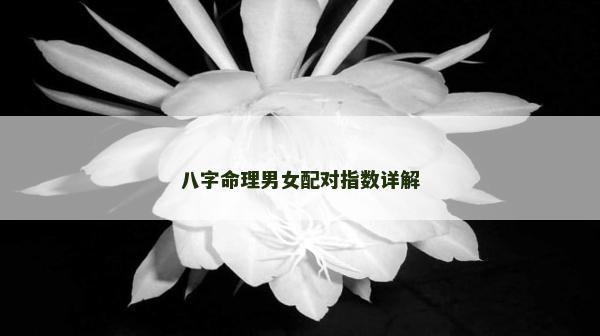 八字命理男女配对指数详解