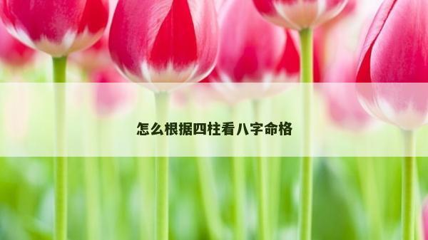 怎么根据四柱看八字命格