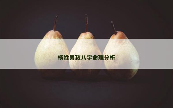 杨姓男孩八字命理分析