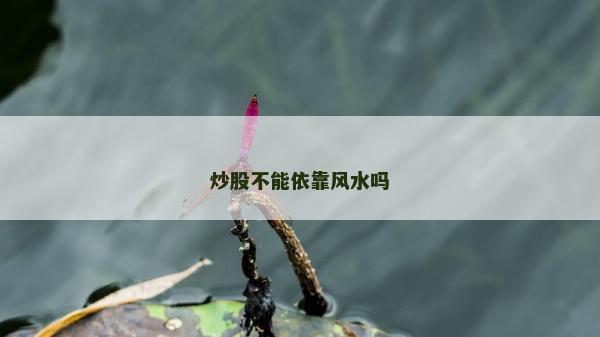 炒股不能依靠风水吗