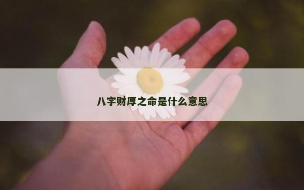 八字财厚之命是什么意思