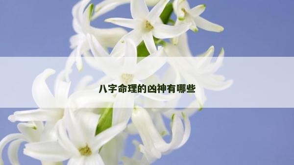 八字命理的凶神有哪些