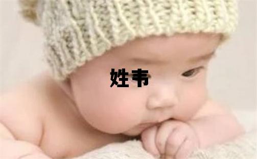 姓韦叫什么名字好 姓韦的男孩洋气的名字