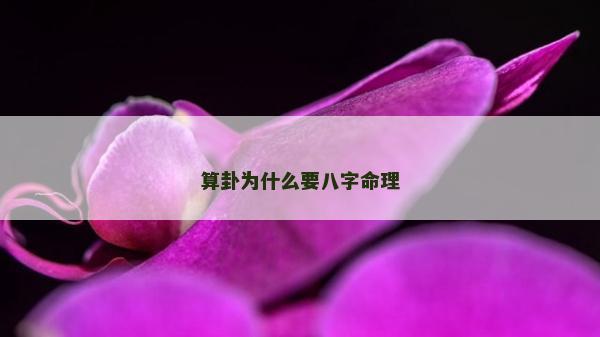 算卦为什么要八字命理