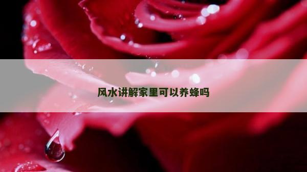 风水讲解家里可以养蜂吗