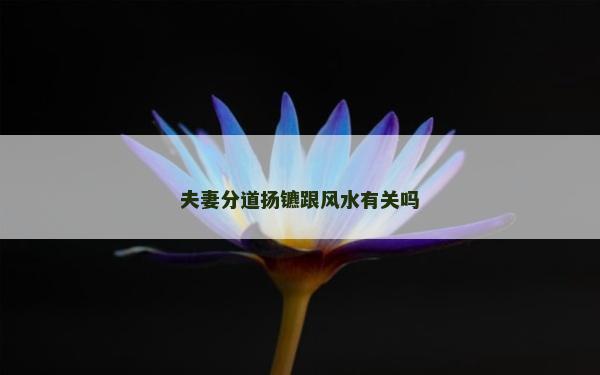 夫妻分道扬镳跟风水有关吗