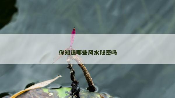 你知道哪些风水秘密吗