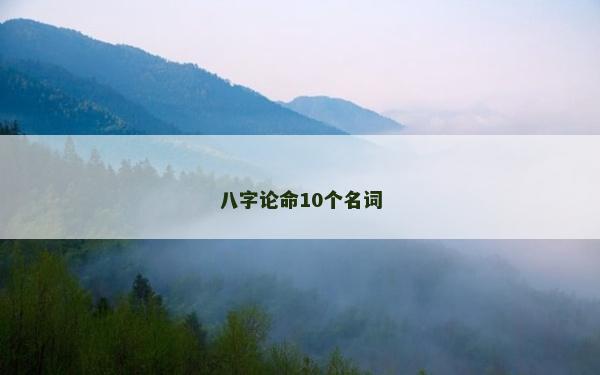 八字论命10个名词