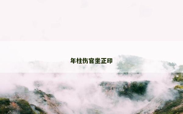 年柱伤官坐正印