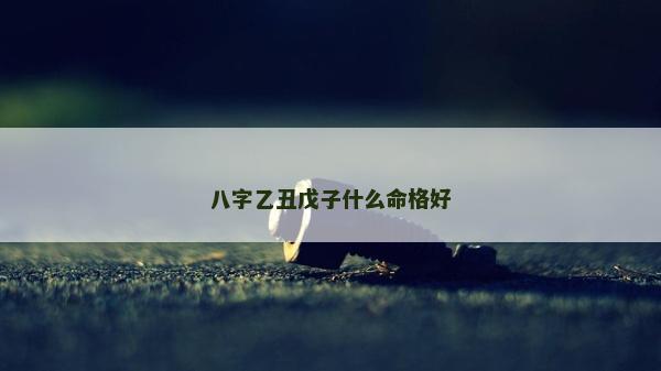 八字乙丑戊子什么命格好