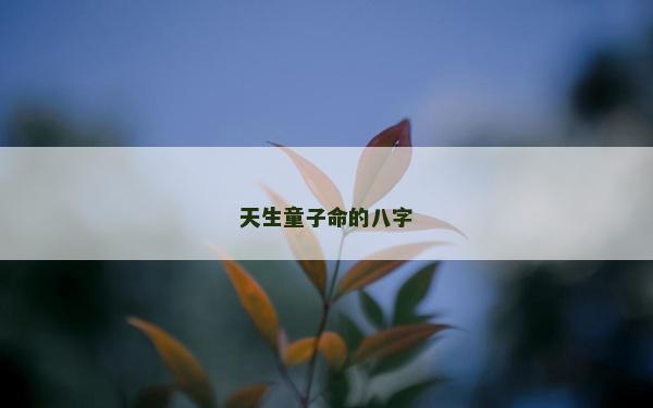 天生童子命的八字